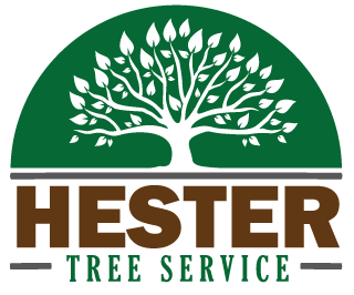 Hester Tree Services